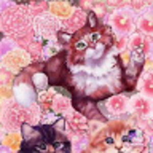 Meet your Posher, Ellen